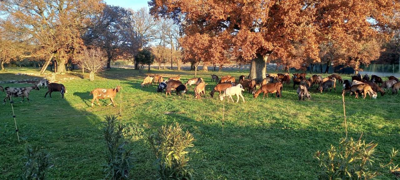 Gite La Truffiere Gras Buitenkant foto